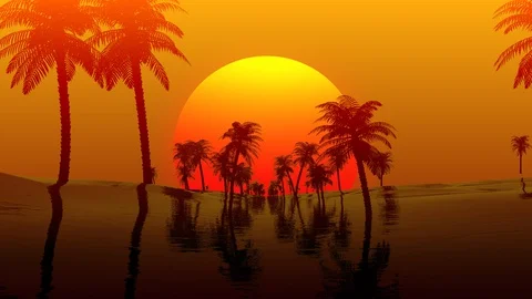 Palm Tree Silhouette Sunset Stock Footage 128332012