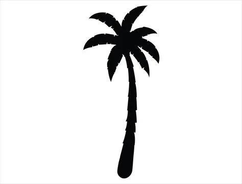 Palm tree silhouette vector art Stock Illustration