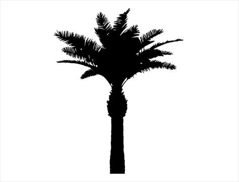 Palm tree silhouette vector art Stock Illustration