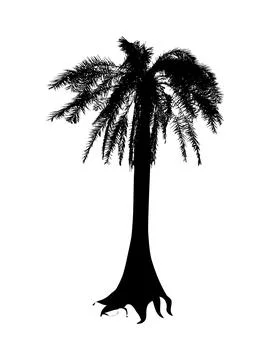 A palm tree silhouette vector illustration, coconut tree  vector art, Stock Illustration