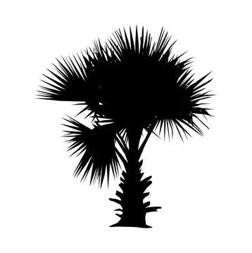 Palm tree silhouette vector illustration, coconut tree  vector art, Stock Illustration
