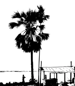 Palm tree silhouette vector illustration on a village Stock Illustration