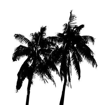 Palm tree silhouette vector illustration, coconut tree  vector art se Stock Illustration