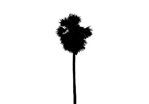 Palm tree silhouette vector illustration, coconut tree  vector art, Stock Illustration