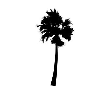 Palm tree silhouette vector illustration, coconut tree  vector art, Stock Illustration