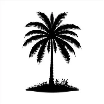 Palm tree silhouette vector on white background Stock Illustration