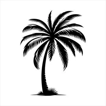 Palm tree silhouette vector on white background Stock-Illustration