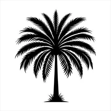 Palm tree silhouette vector on white background Stock-Illustration