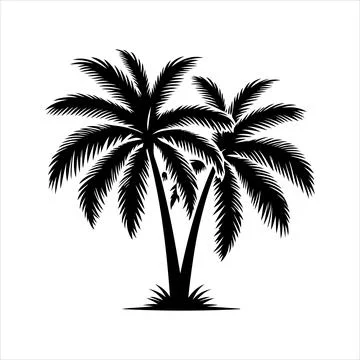 Palm tree silhouette vector on white background Stock Illustration