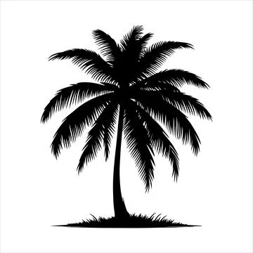 Palm tree silhouette vector on white background Stock-Illustration