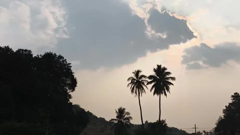 Palm Tree Silhouettes Against Dramatic Evening Sky Stock Footage 327970064