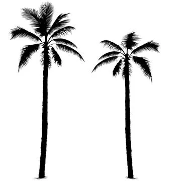 Palm Tree Silhouettes Stock Illustration