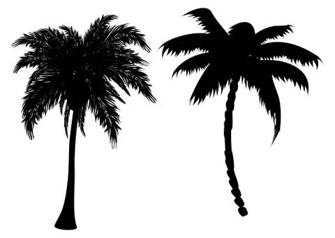 Palm tree silhouettes 스톡 일러스트