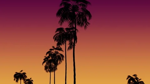 Palm Tree Silhouettes At Sunset Stock Footage 313725757