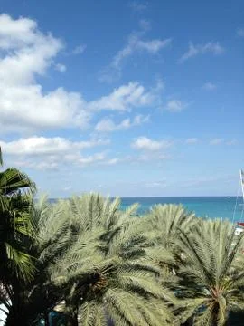 Palm tree sky Stock Photos