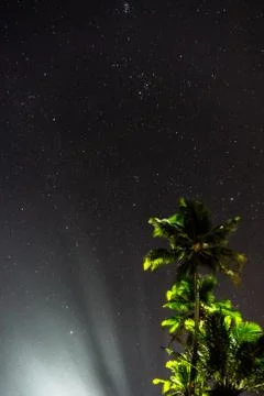 Palm tree with sky Stock Photos