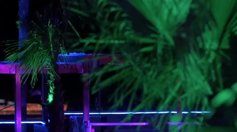 Palm tree at slow motion on a party Stock Footage 54213836