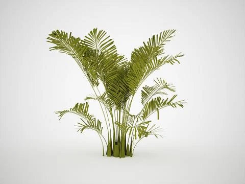 Palm tree small Stock Illustration