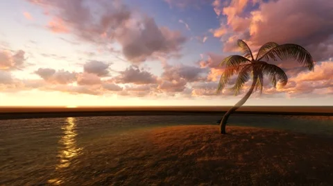 Palm tree on a small island Stockbeeldmateriaal 43396703