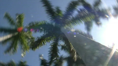 Palm tree spin from below Stock Footage 737316