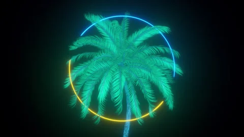 Palm Tree With Spinning Neon Circle Stock-Footage 307418548