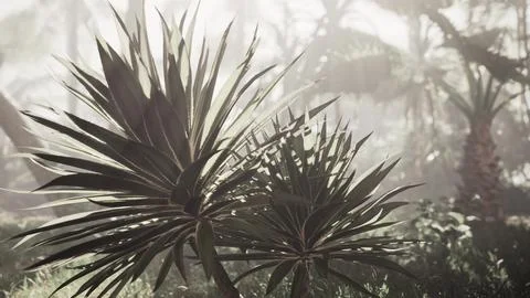 Palm Tree Standing Amidst Forest Stock Illustration