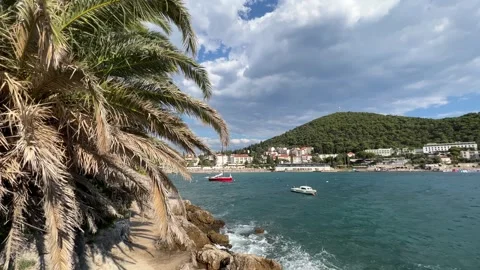 A palm tree stands in the foreground against a backdrop of water Stock Footage 266959118