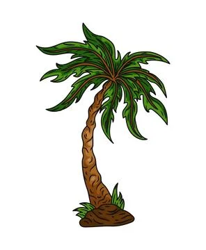 Palm tree. Summer beach green tropical plant, leaf, exotic nature coconut bright Stock-Illustration