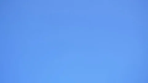 Palm tree in sunlight Stock Footage 93782273