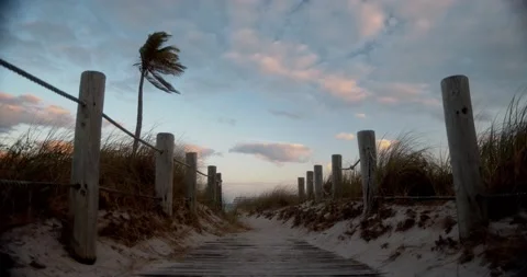 Palm Tree At Sunset On Beach 動画素材 158810802