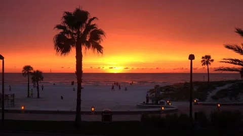 Palm Tree At Sunset Clearwater Beach Florida 스톡 동영상 54143609