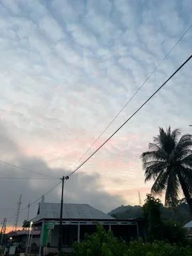 Palm Tree with Sunset Cloudy Sky Stock Photos