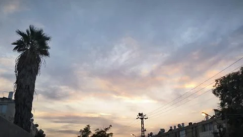 Palm tree sunset evening sky skylines tree park travel travelling wheather .. 库存照片