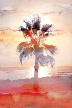Palm tree at sunset Stock Illustration
