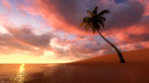 Palm Tree sunset on island Stockbeeldmateriaal 43322727