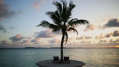 Palm tree on a Sunset in the Maldives Stock Footage 244150512