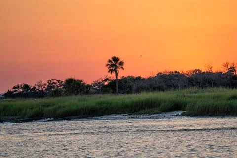 Palm Tree Sunset From the Ocean Stock Photos