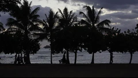 Palm Tree Sunset with people walking and jogging. Stock Footage 8100482