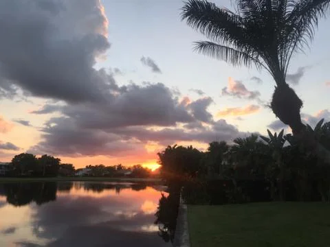 Palm tree sunset Stock Photos
