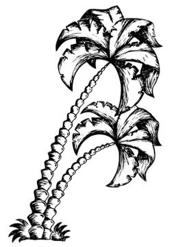 Palm tree theme drawing - illustration. Stock Illustration