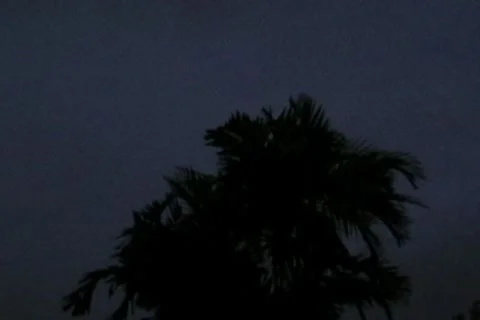 Palm Tree in Thunderstorm Lightning 4x3 Stock Footage 8687832