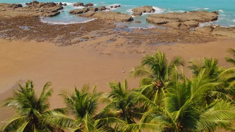 Palm tree tops overlook the rocky tide pools and woman walking on sandy beach in Stock Footage 344780304