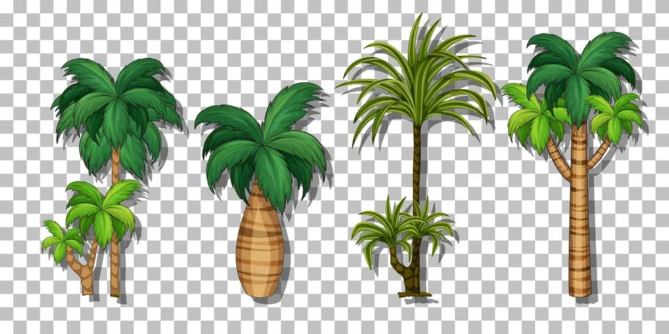 Palm tree on transparent background 스톡 일러스트