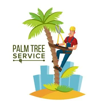 Palm Tree Trimming Vector. Trimming Tree Or Removal To Tree Pruning. Cartoon Stock Illustration