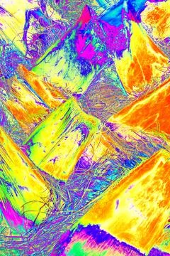 Palm tree trunk close up texture. Natural botanical background, design elemen Illustrazione stock