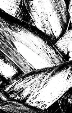 Palm Tree Trunk Illustration Stock Illustration