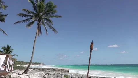 Palm Tree, Tulum Beach, Mexico Stock Footage 158052511