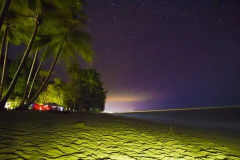 A palm tree under a starry sky Stock Photos