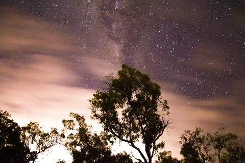 A palm tree under a starry sky Stock Photos
