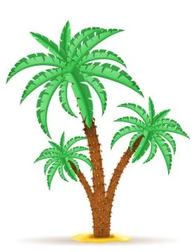 Palm tree vector illustration Stock Illustration